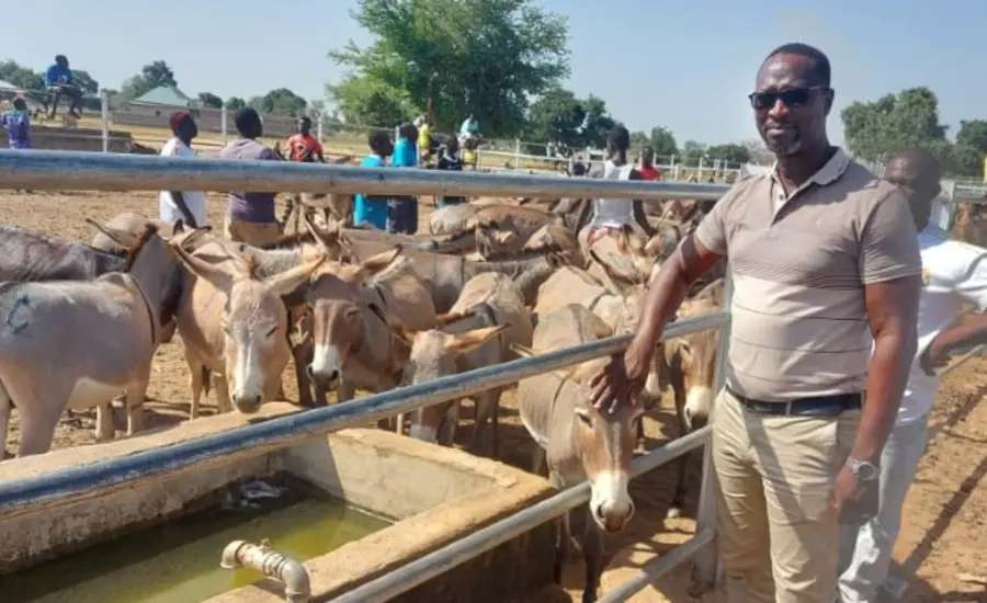 Emmanuel and donkeys (large).jpg