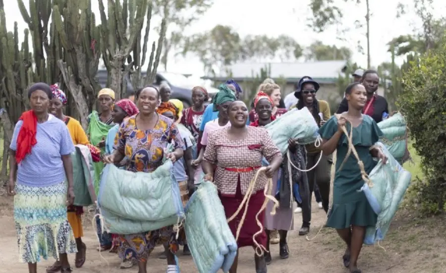 IWD Brooke EA large.jpg