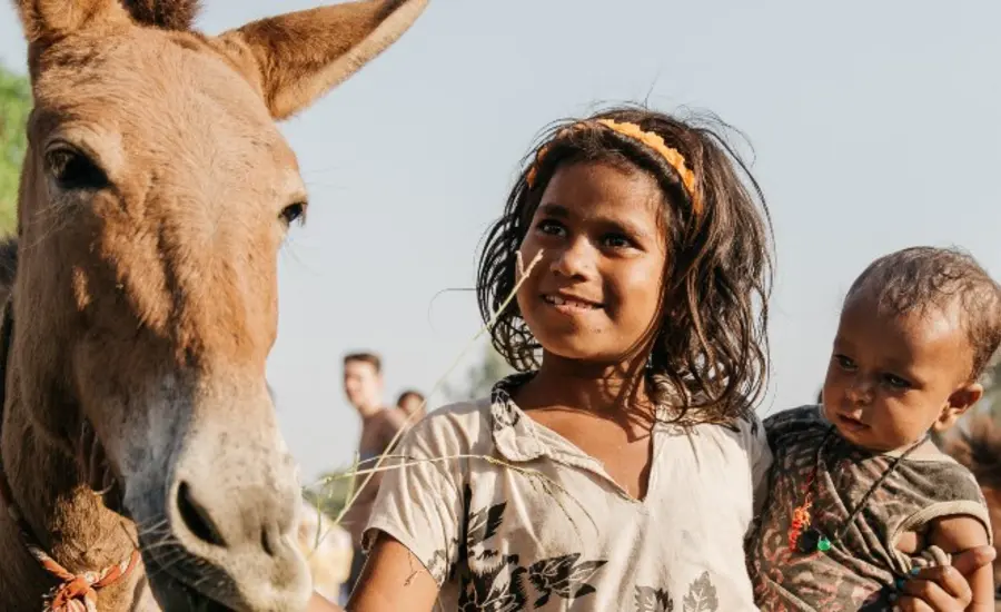 Children with equid in India. Photo credit: Freya Dowson. 