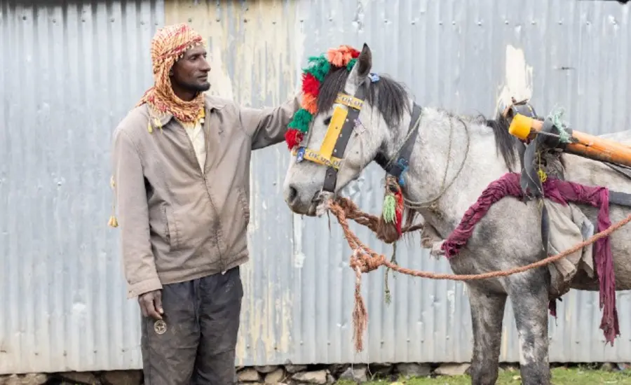 On our radar main image LARGE.jpg
