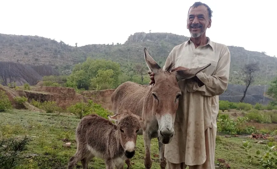 One Health nexus blog large.jpg