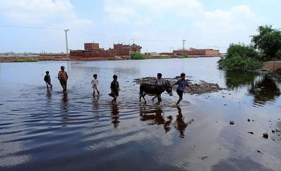 Credit: Ahmad Umer Chaudhry 