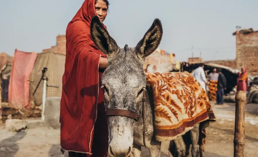 A woman stands with her donkey in Pakistan