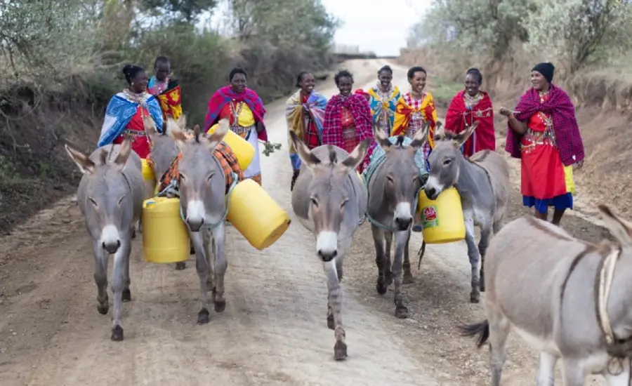 World Water Day UN blog.jpg