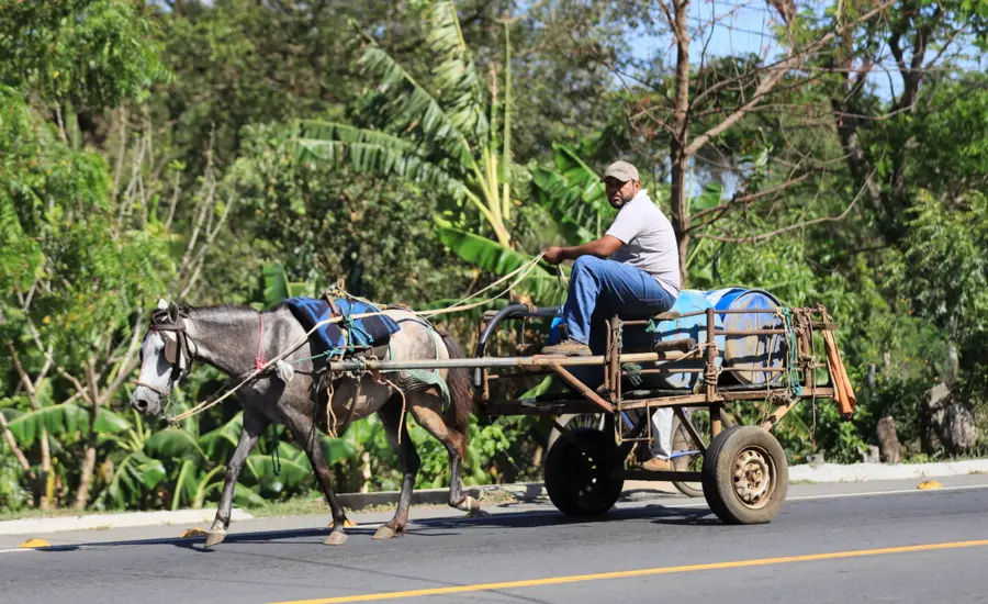 Horse pulls man on cart in Nicaragua.