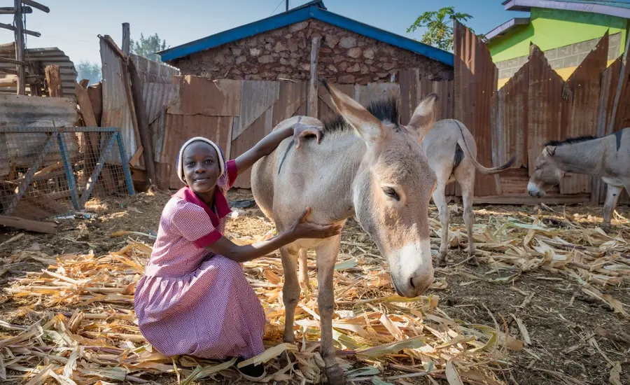 Girl with donkey in Kenya 