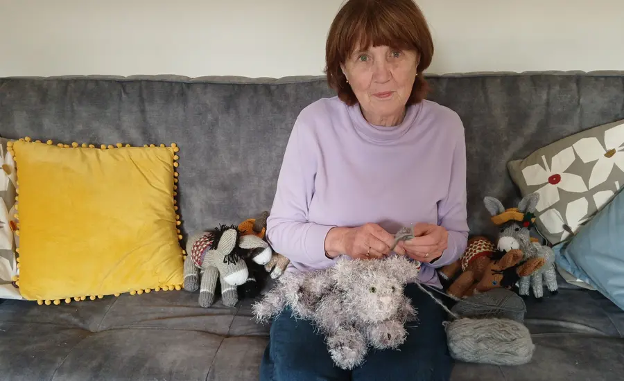 Charity fundraiser with knitted donkeys 