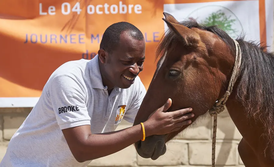 Man and horse in Senagal