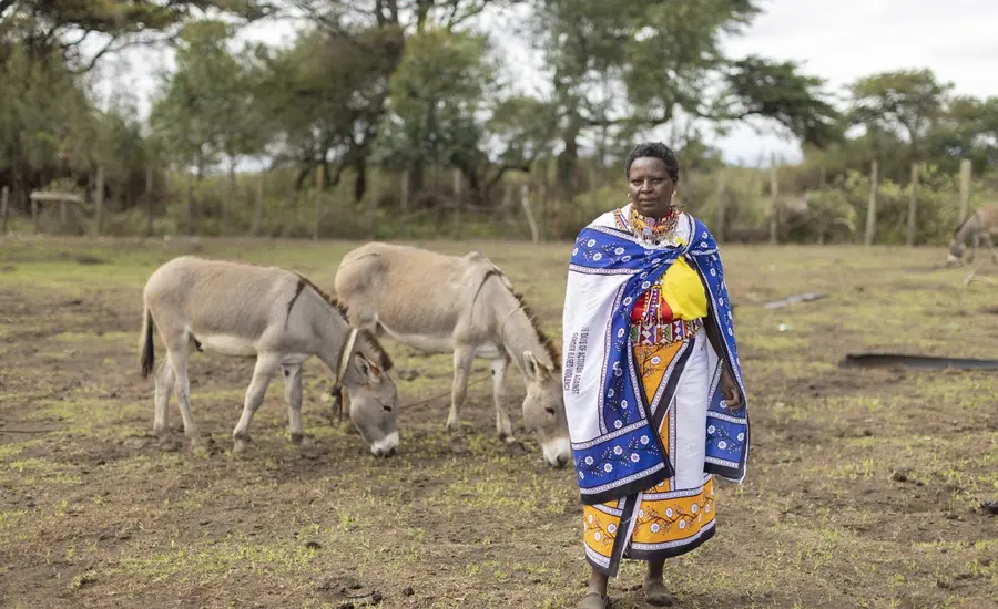 Women's donkey welfare group with donkeys in Kenya