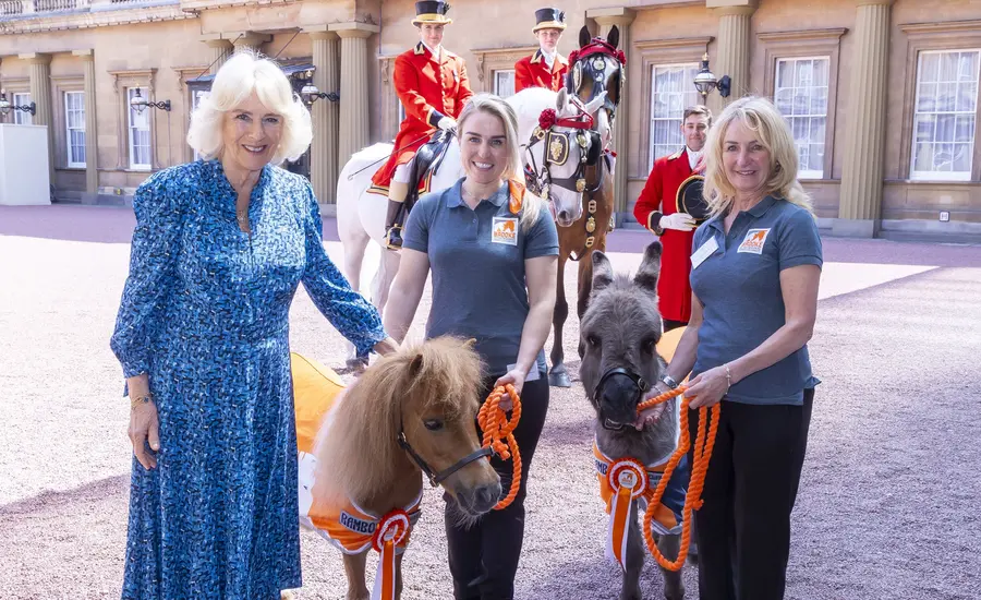 Camilla with Brooke staff, pony and donkey at Buckingham Palace 