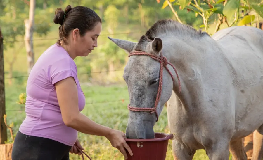Woman feeds horse in Nicaragua