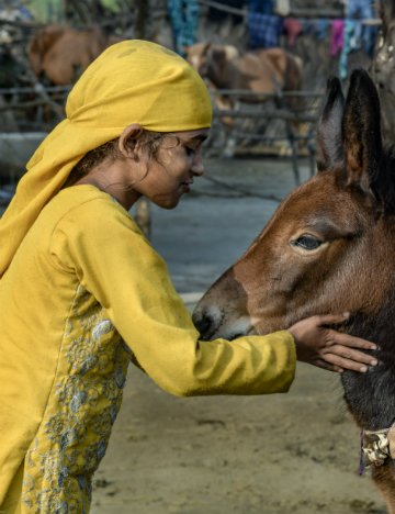 Girl and foal Girl and foal