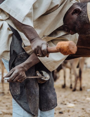 Farrier in Senegal Farrier in Senegal