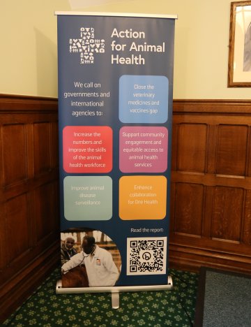 A4AH poster at the parliamentary event. 