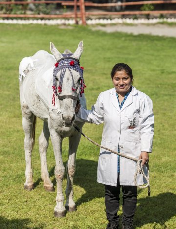 Dr Sabira at the Lahore Clinic in Pakistan (credit: Richard Dunwoody). Brooke vet in Pakistan