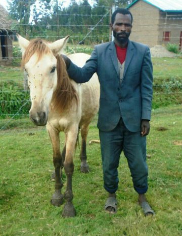 Ahmed and his horse, Bora Ahmed and his horse, Bora