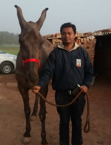 Dr Nidhish Bhardwaj Dr Nidhish Bhardwaj
