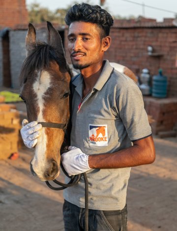 Farrier and horse in India