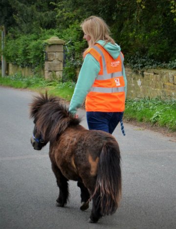 Hannah and Little Alf are off to Bolesworth Hannah and Little Alf are off to Bolesworth
