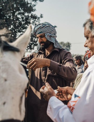 Muhammad tends to a horse wound Muhammad tends to a horse wound
