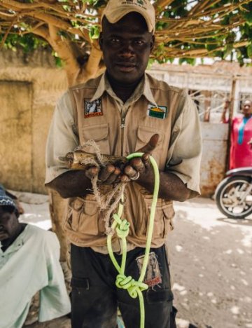 Brooke trains Senegal equine owners to make welfare-friendly head collars (credit: Freya Dowson). Brooke train equine owners in Senegal