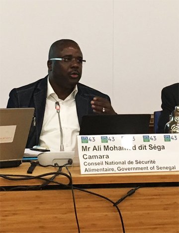 Ali Camara Ali Camara