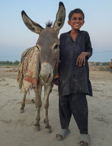Boy with donkey in Pakistan