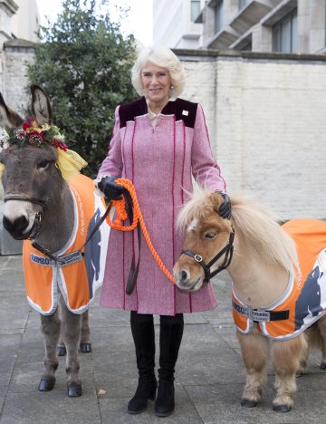 Her Majesty The Queen at Brooke's 2018 carol service Her Majesty The Queen with donkeys at charity carol service