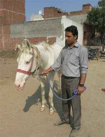 Dr Naseer Darwish Naseer with an equine in India