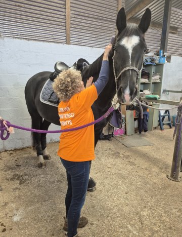 Woman tacks horse in stable.