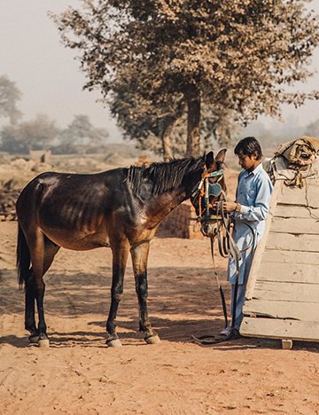 A man and his horse A man and his horse