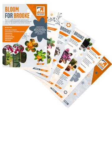 Bloom for Brooke fundraising pack Bloom for Brooke fundraising pack