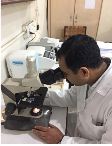Dr Gondal examining a fresh blood smear to diagnose blood parasites Dr Javed Gondal looking through microscope