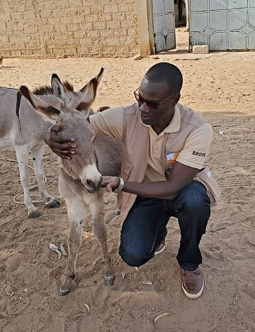 Dr Mactar Seck with a donkey in Senegal Dr Mactar Seck and donkey