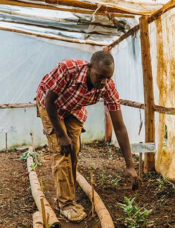 Working in the greenhouse
