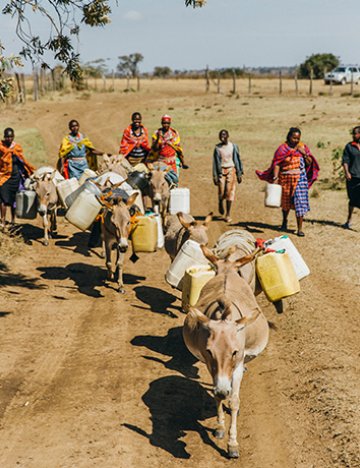 Donkeys transporting water in Kenya