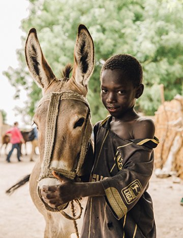 Boy and donkey in Senegal