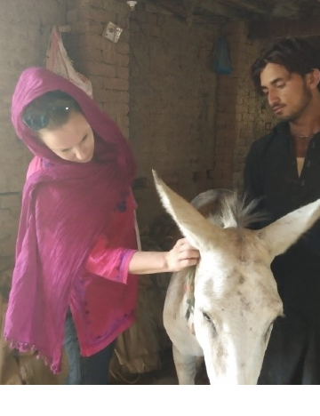 Erin looking at measures an equid owner adopted as a result of participating in Brooke trainings to prevent his equipment from causing wounds to his animal Erin looking at measures an equid owner adopted as a result of participating in Brooke trainings to prevent his equipment from causing wounds to his animal
