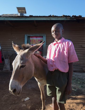 A boy and his donkey A boy and his donkey