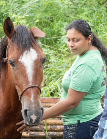 a brown horse with a flopped ear with a woman wearing a green t shirt