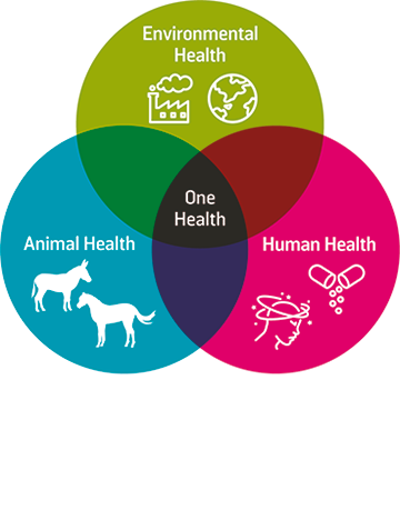 One Health infographic One Health infographic