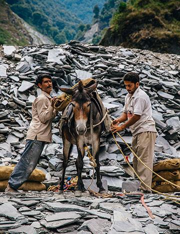 Each pack weighs up to 50kg and workers travel up to 16km a day Each pack weighs up to 50kg and workers travel up to 16km a day