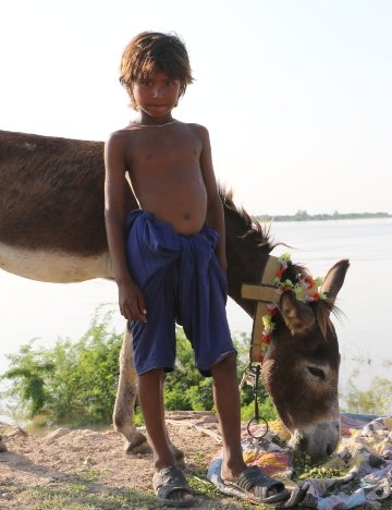 Child and donkey standing in front of flooded land