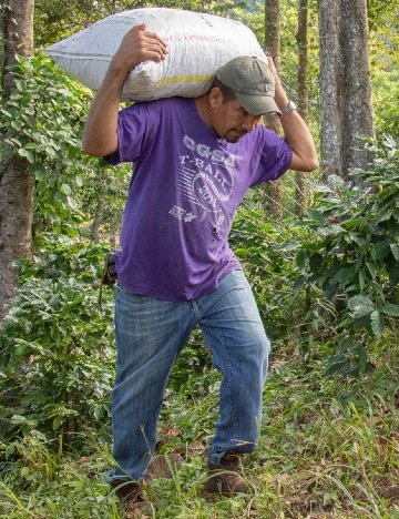 José carrying heavy load on his shoulders up a steep hill