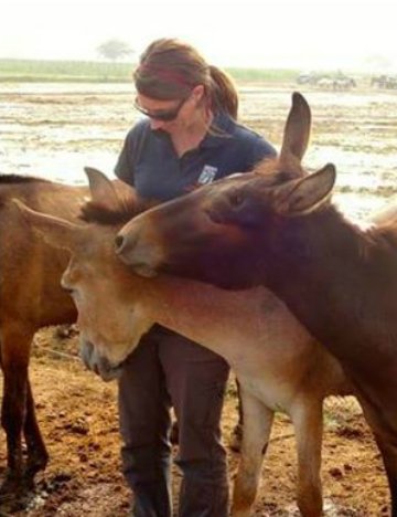 Kimberly Wells Kimberly Wells surrounded by donkeys
