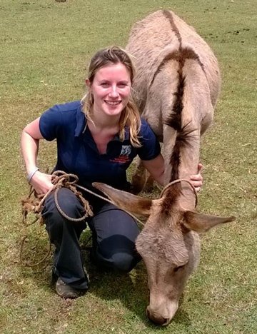 Dr. Laura Skippen Dr. Laura Skippen in the field with a donkey