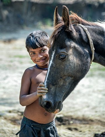 A horse and young boy in Qalandar, India A horse and young boy in Qalandar, India