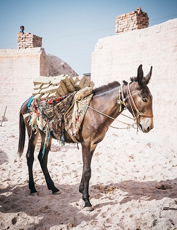 A brick kiln in India