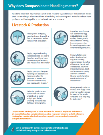 Compassionate livestock handling factsheet Compassionate livestock handling factsheet