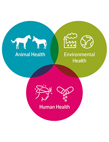 One Health One Health